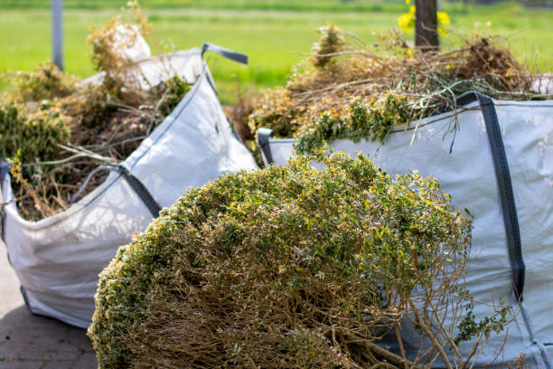 Professional Junk Removal Services in Planada, CA